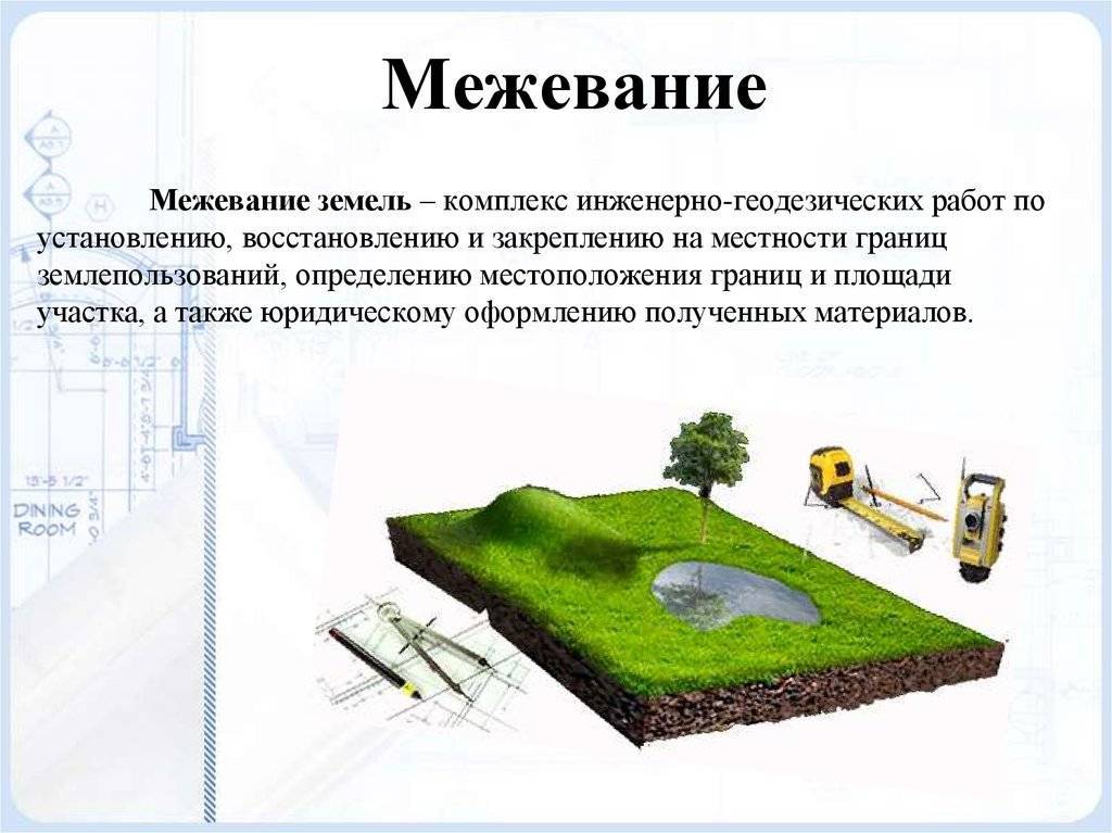 Сколько стоит межевание земельного участка в 2023