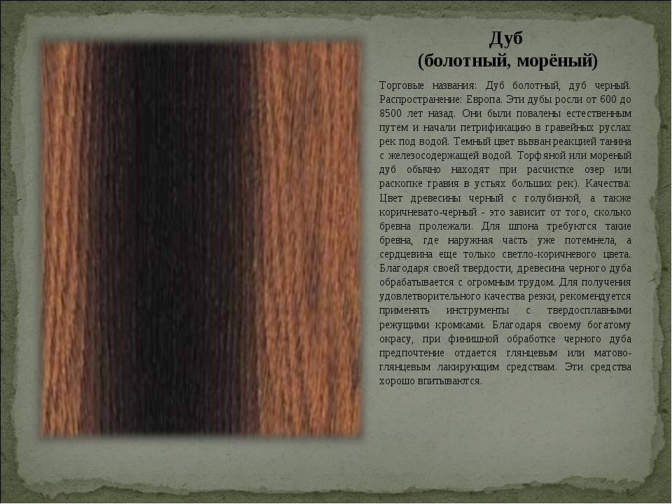 Интересные факты о мореном дубе