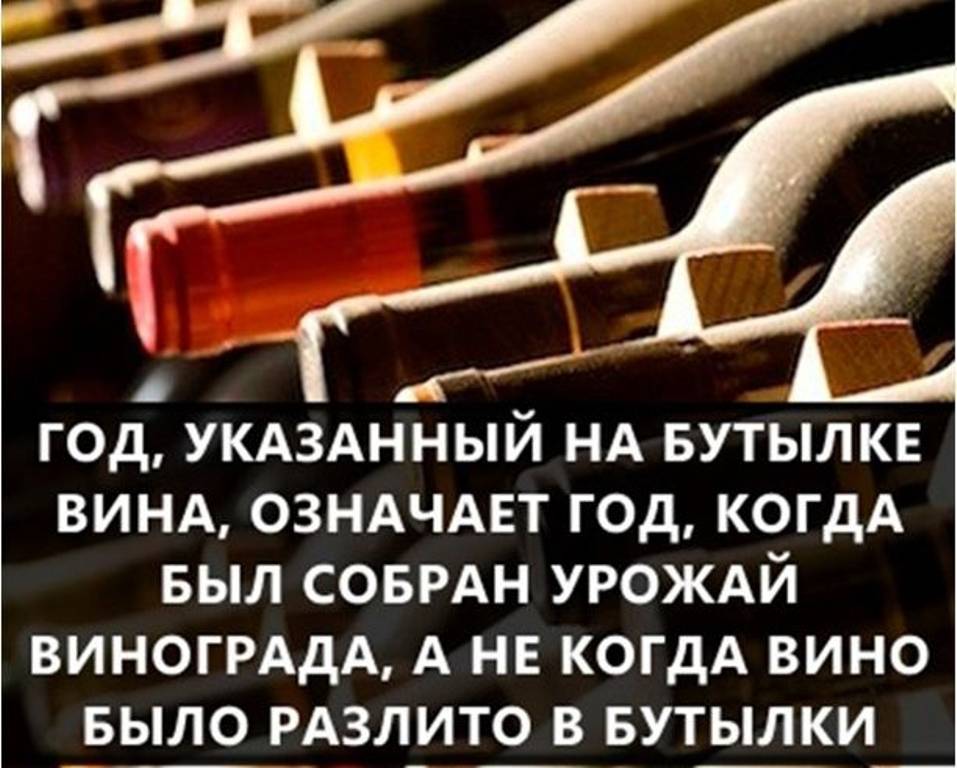 Факты в картинках интересные с надписями