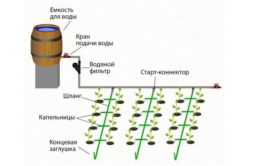 Схема капельного полива в теплице своими руками