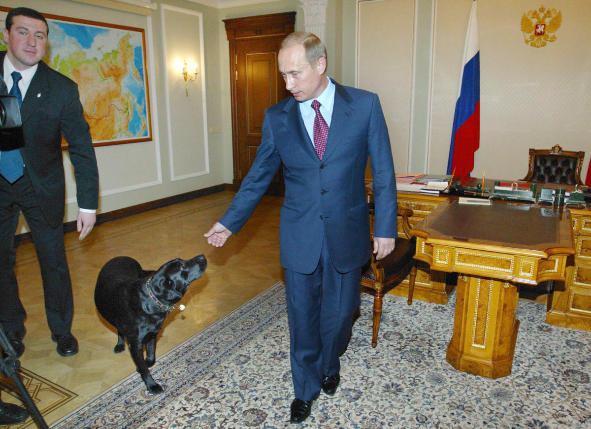 Где живет владимир путин? роскошная недвижимость президента — мужской блог