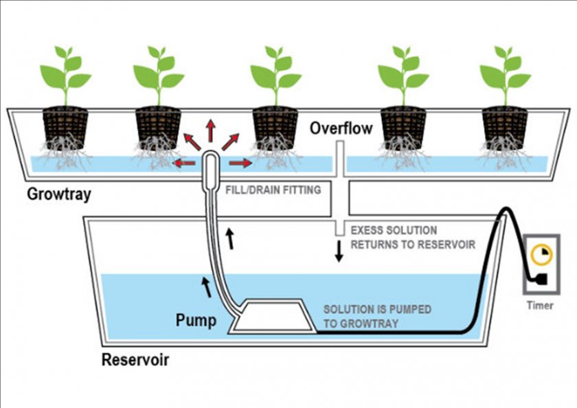 Гидропоника в домашних условиях зелень своими руками схема