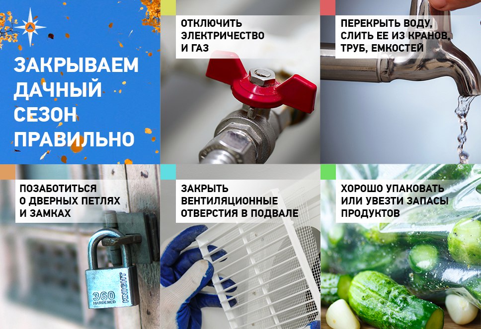 Осенние работы в саду и огороде на даче: уборка, подготовка растений к зиме, удобрение, полив, сбор урожая овощей, какие растения можно посадить