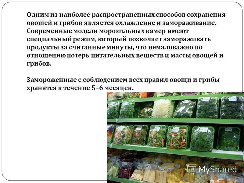 5 простых совета, как избавиться от блох в подвале