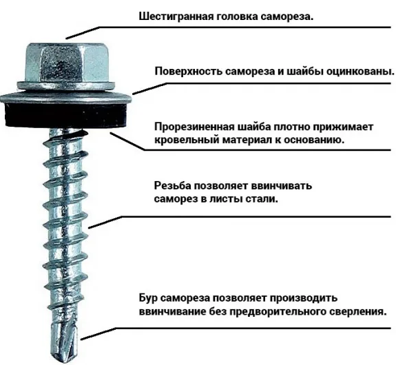 Какие лучше саморезы для профиля под гипсокартон клопы или прешайба