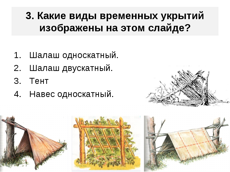 Как построить шалаш своими руками на дереве в лесу, из веток, из досок, на даче и в доме