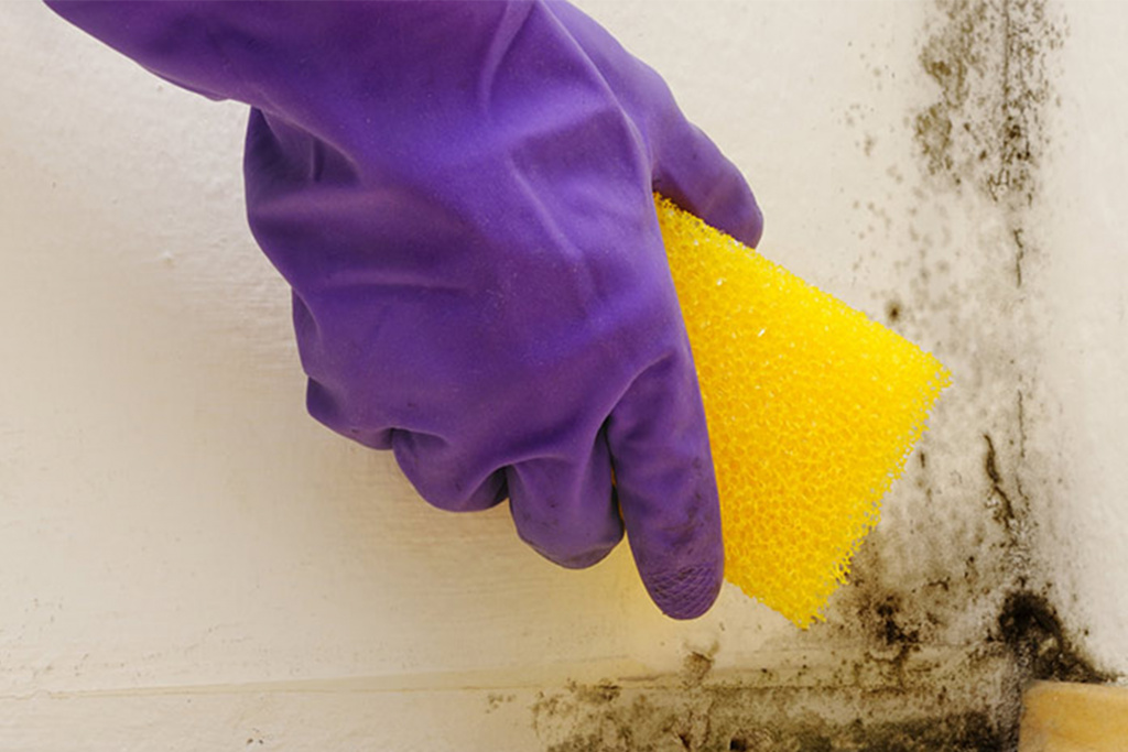 Как избавиться от плесени в ванной: 15 рабочих способов удаления черной плесени в домашних условиях