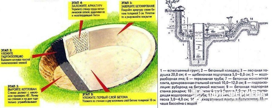 Как построить пруд на даче для разведения рыбы?