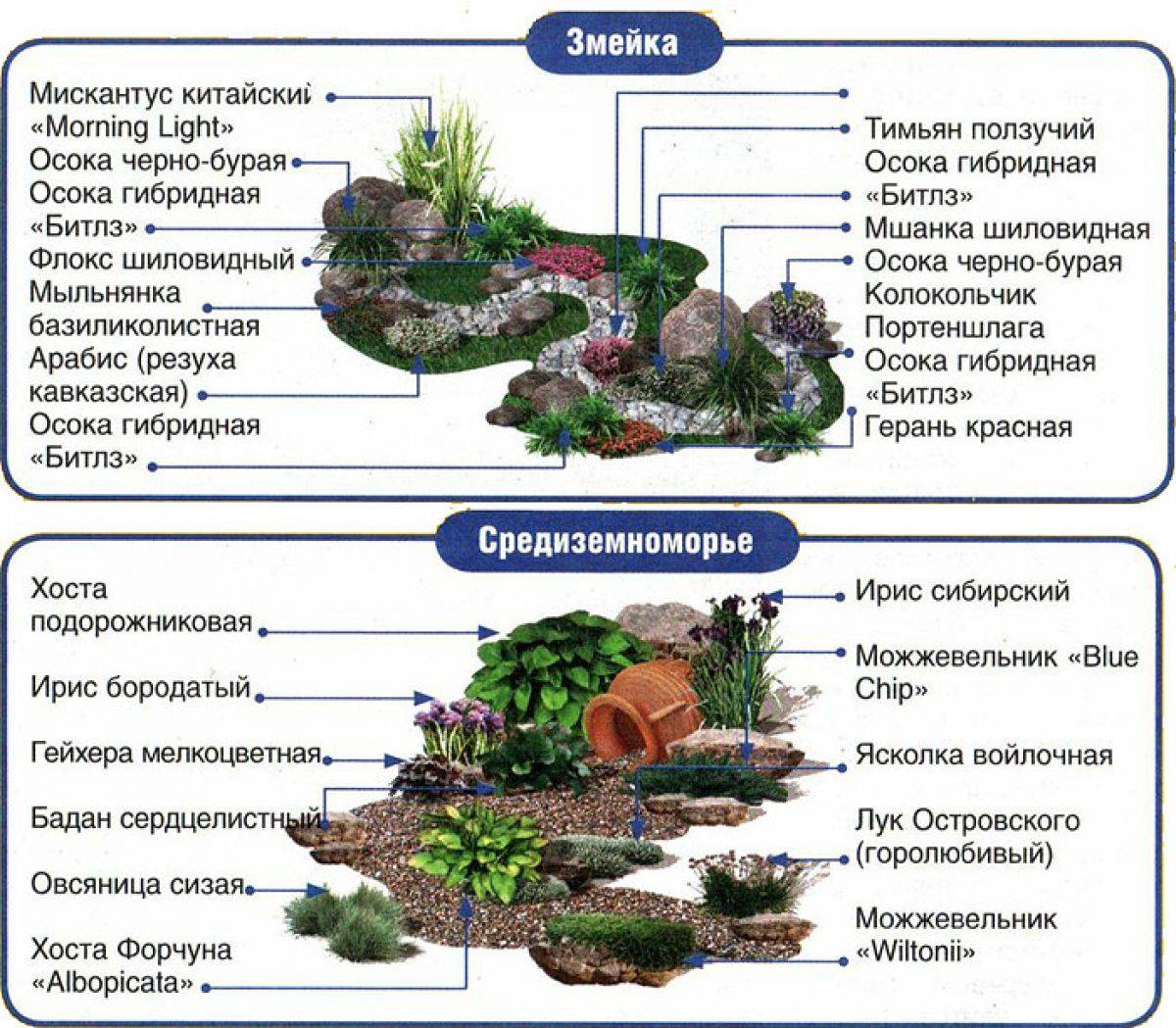 Готовые схемы. Рокарий схема посадки растений. Рокарий схема сбоку. Схема альпийской горки. Растения для альпинария. Рокарий в ландшафтном дизайне схемы.