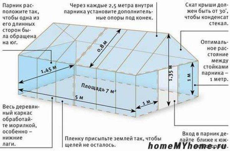 Что выгодно выращивать в теплице на продажу? - технология бизнеса