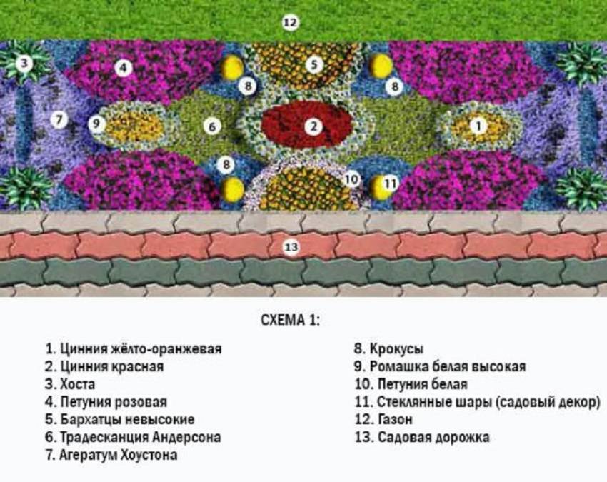 Эскиз клумбы с цветами и названия цветов