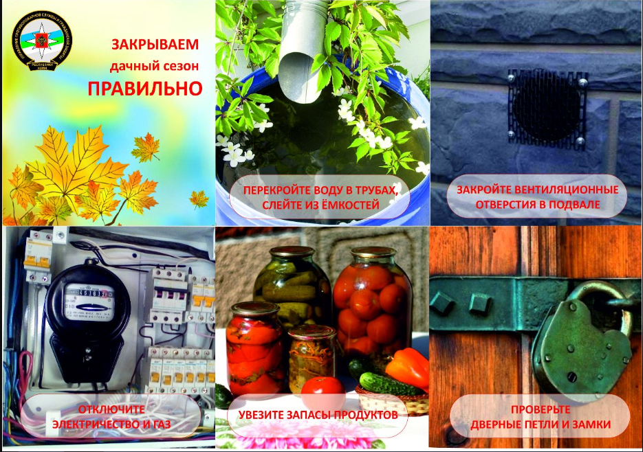 Работы садовода осенью: прополка, обрезка, обработка почвы и растений | растим растения!