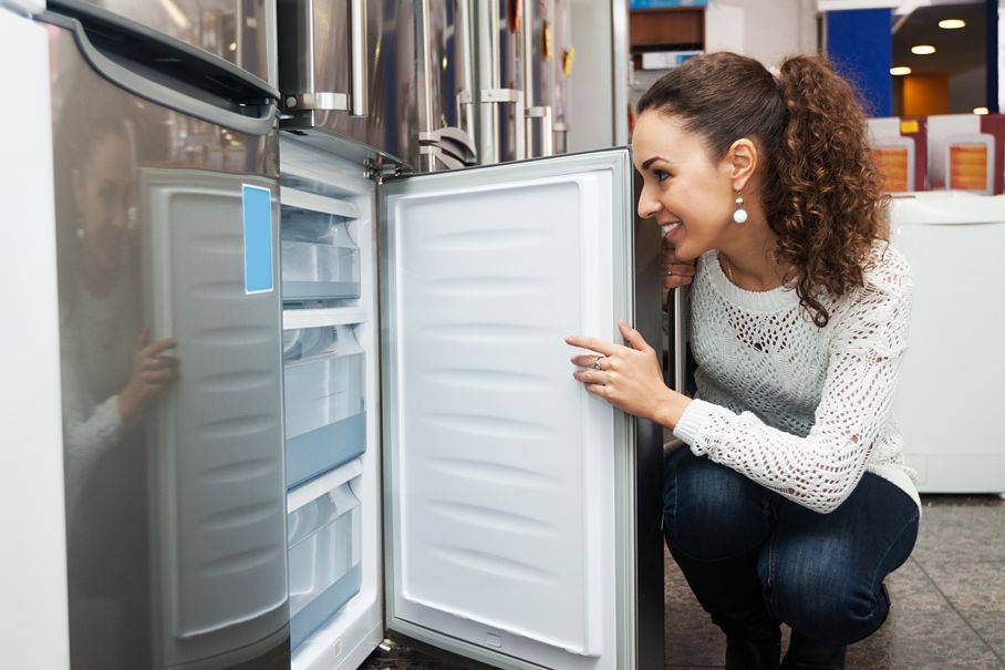 Холодильник за миллион - для чего он нужен?