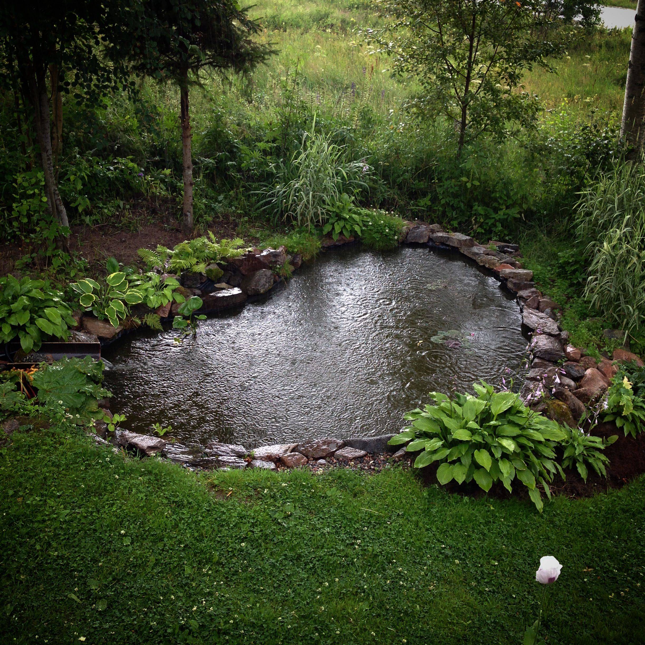 садовый пруд дизайн фото