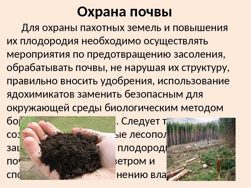 Как провести анализ почвы
