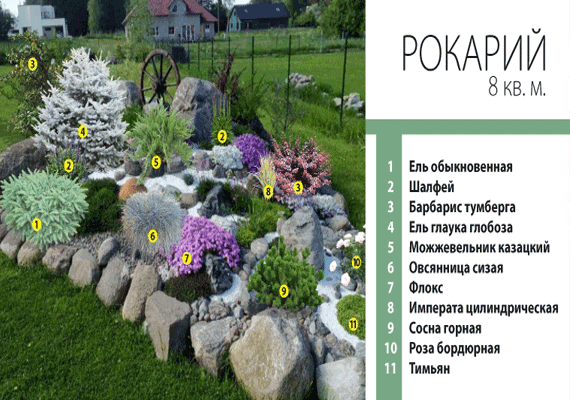 Рокарий своими руками: советы по выбору камней и растений. топ-115 фото идей ландшафтного дизайна