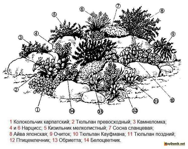Альпийская горка своими руками: 155 фото красивых вариантов применения альпийской горки в дизайне