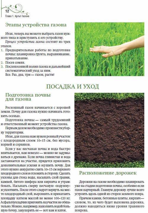 Важный этап в разбивке газона: подготовка участка и грунта под посев травы