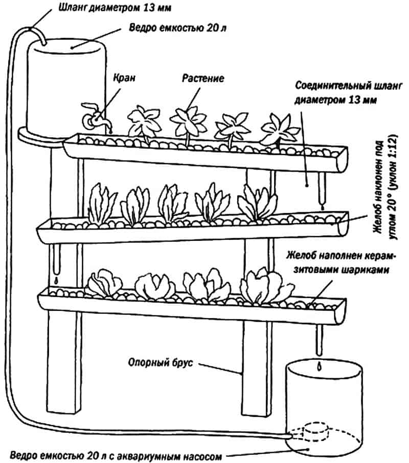 Гидропоника в домашних условиях зелень своими руками схема