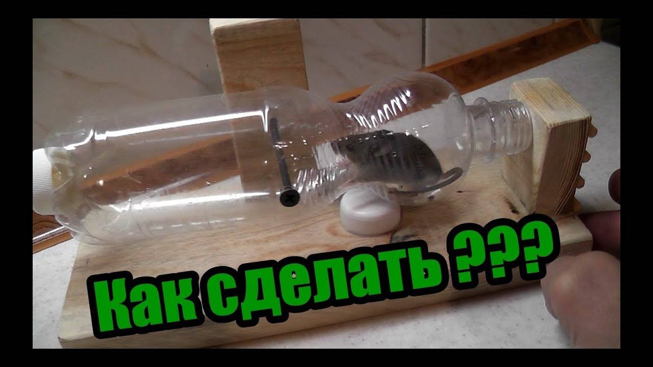 Изготовление мышеловки из пластиковой бутылки + видео