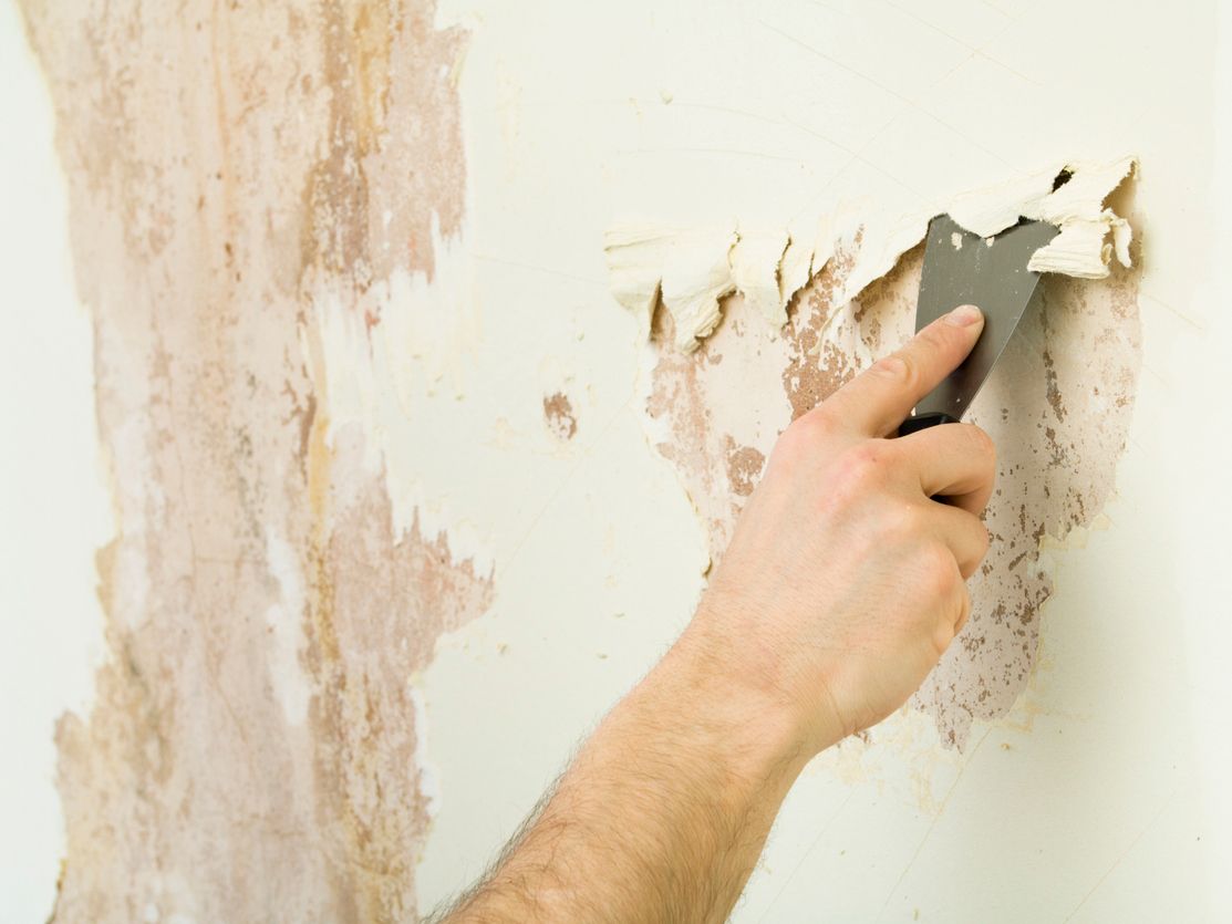 Что делать после штукатурки стен: выравнивание, шпаклевка, окраска