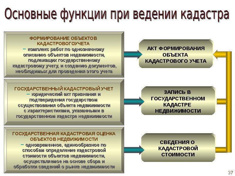 Новое направление деятельности освоит росреестр